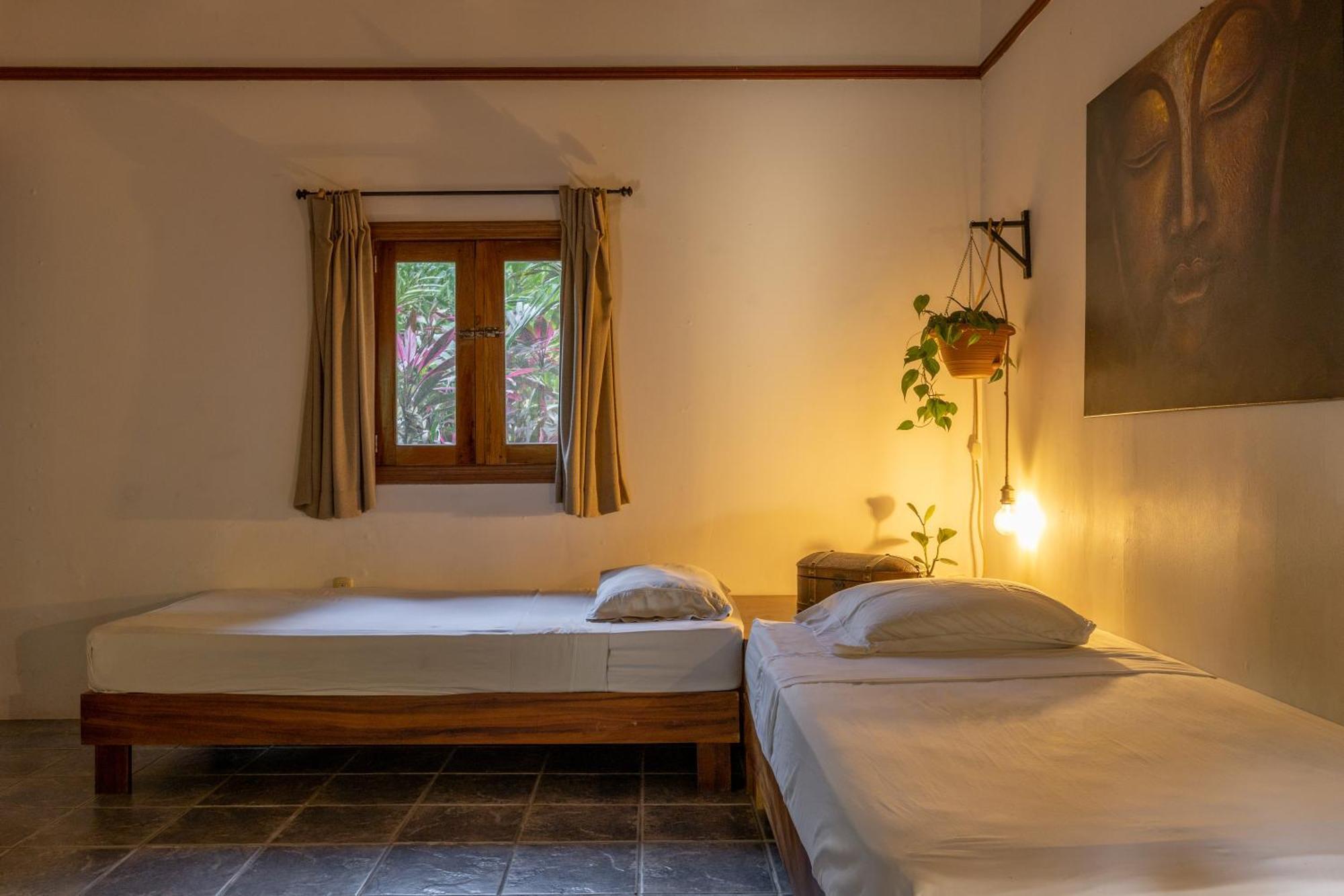 Star Mountain Jungle Lodge & Horse Ranch Malpais Dış mekan fotoğraf