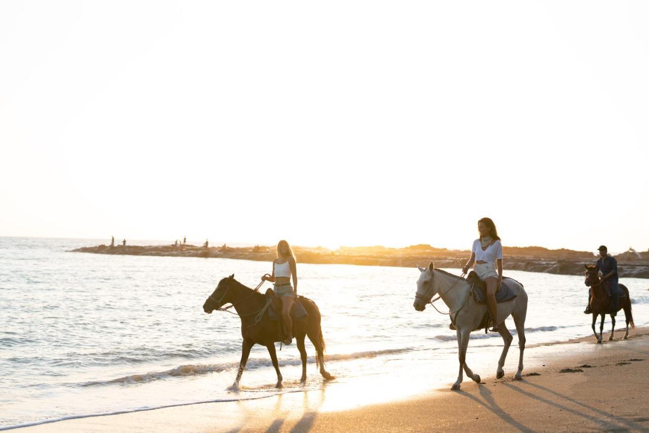 Star Mountain Jungle Lodge & Horse Ranch Malpais Dış mekan fotoğraf