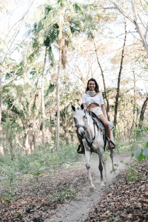 Star Mountain Jungle Lodge & Horse Ranch Malpais Dış mekan fotoğraf