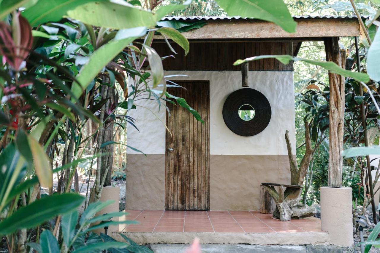 Star Mountain Jungle Lodge & Horse Ranch Malpais Dış mekan fotoğraf
