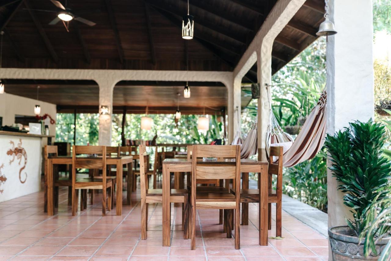 Star Mountain Jungle Lodge & Horse Ranch Malpais Dış mekan fotoğraf