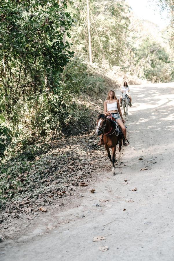 Star Mountain Jungle Lodge & Horse Ranch Malpais Dış mekan fotoğraf